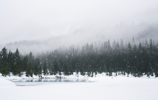 Winter bug out bag cold weather